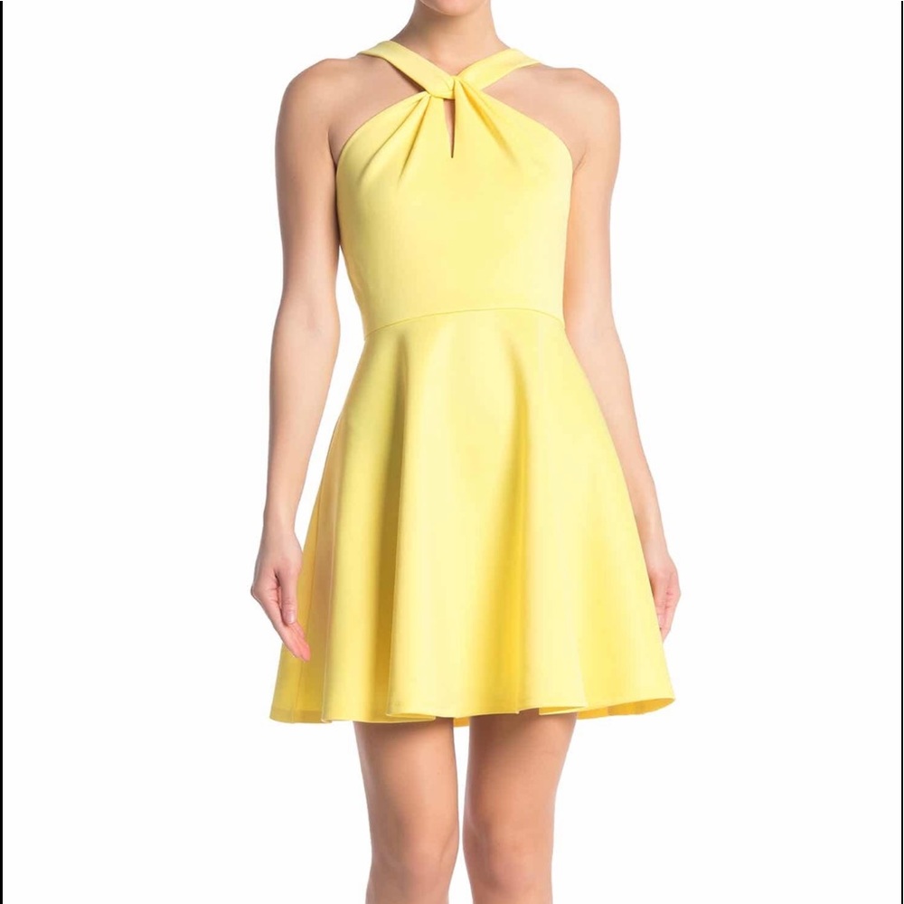 Ted Barker London dress